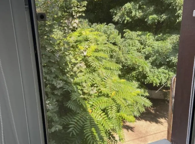 софиевская