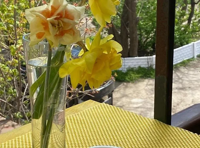 софиевская Lägenhet